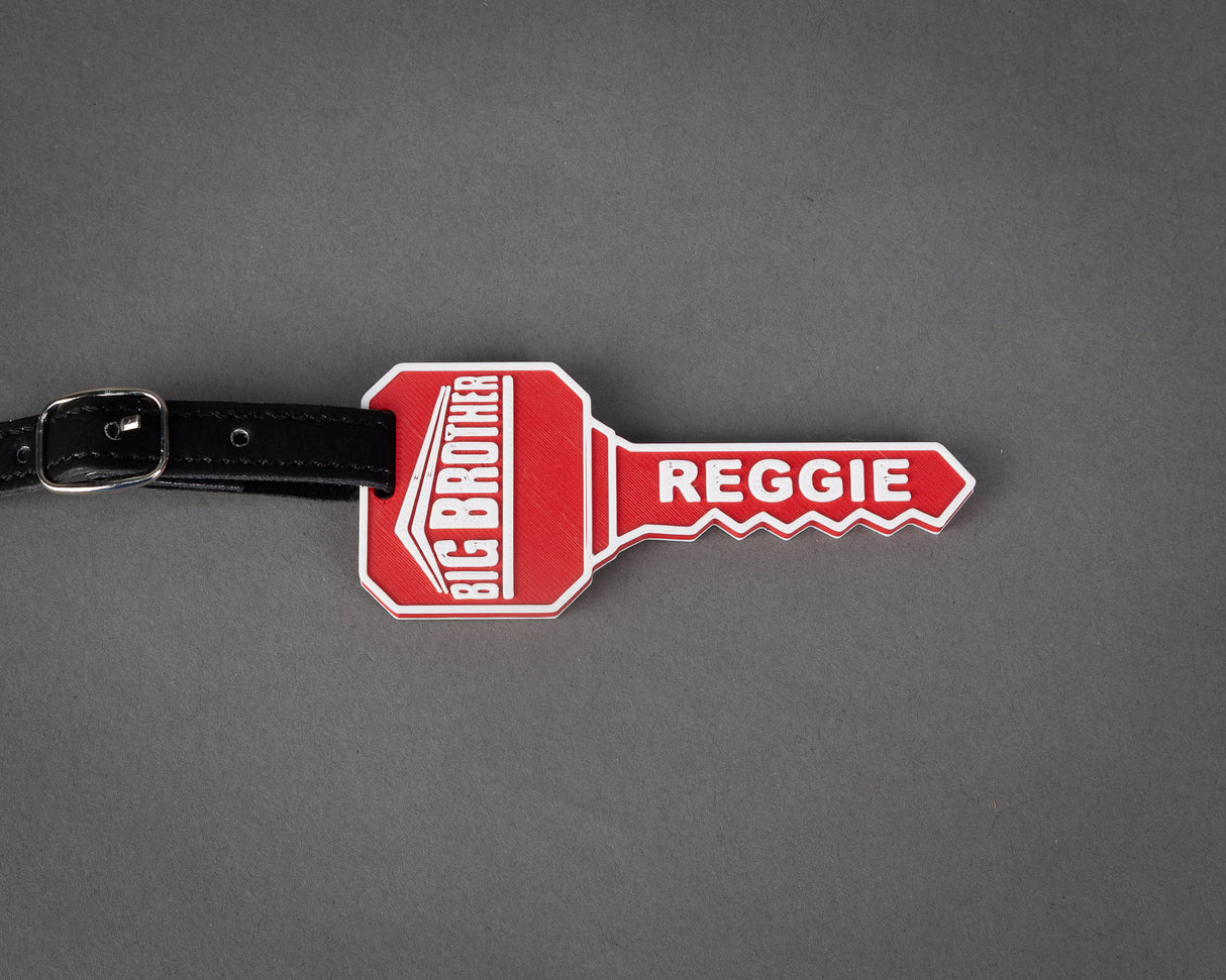 Big Brother Key Keychain or Bag Tag, 3D Printed