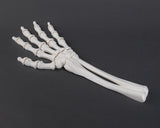 Flexi Factory Skeleton Arm 3D Printed Full Size Arm